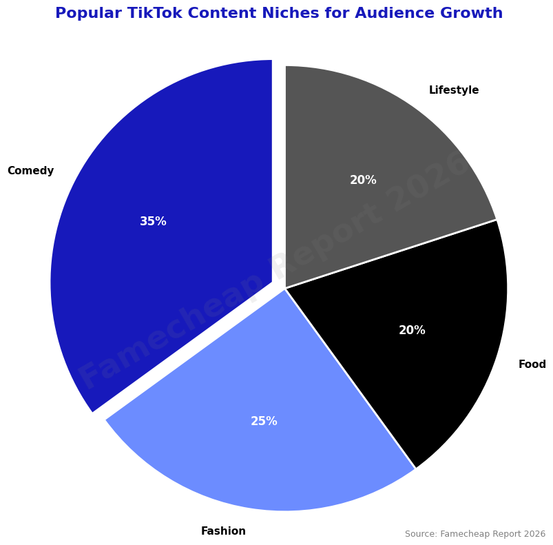 Pie chart of TikTok niches