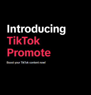 TikTok Promote dashboard showing campaign setup