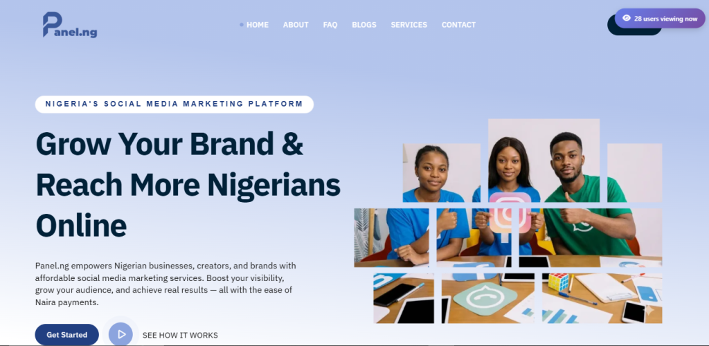 Nigerian creators comparing Panel.ng’s budget-friendly services